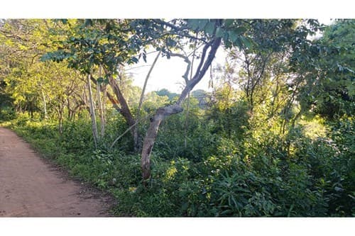 Terreno en la ciudad de arroyos y esteros — foto 5