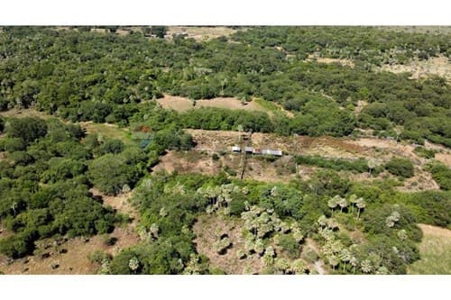 Estancia ganadera en venta — foto 3