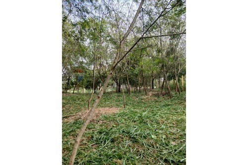 En venta terreno en Barrio Catedral — foto 2