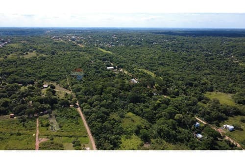 1.8 has camino Luque - San Bernardino — foto 4