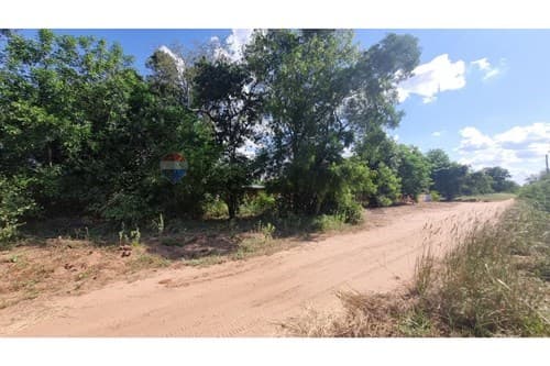 2 terrenos juntos, loma plata — foto 2
