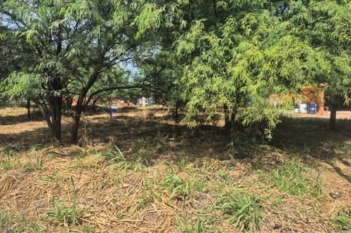 ¡Terrenos en el corazón del Chaco Paraguayo! — foto 4