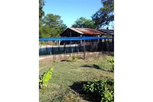 Estancia ganadera en venta — foto 4