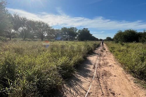 Lotes Comerciales– Cruce Boquerón, Loma Plata, foto 4