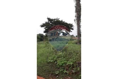 Terreno en Villa del agrònomo, foto 2
