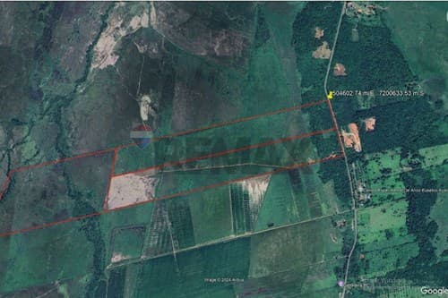 Campo en eusebio ayala 50 hectáreas s/ asfalto — foto 3