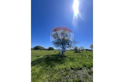 Terreno de 41.529 m2 en Nueva Asunción — foto 3