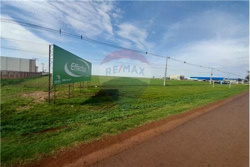 Terreno de 1ha en venta sobre ruta 10 - katueté — foto 3