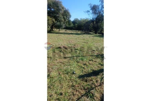 ¡Terreno amplio en San Juan Del Paraná! — foto 3