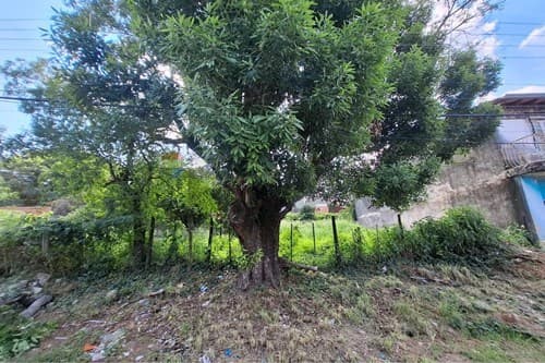 Terreno en venta-terreno-san isidro-lambare, san isidro, foto 5