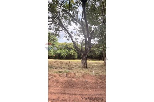Terreno Limite Campo Grande — foto 4