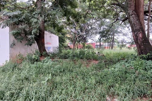 un terreno con Salón Comercial — foto 2