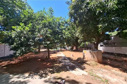 Terreno con casa en laurelty, San Lorenzo — foto 4