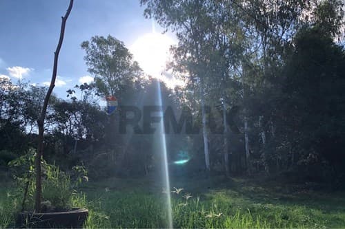 Vendo terreno en san juan del parana