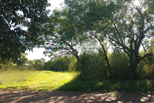 Terreno 2000m² en Coronel Bogado, ¡Ideal para Ti!, foto 2