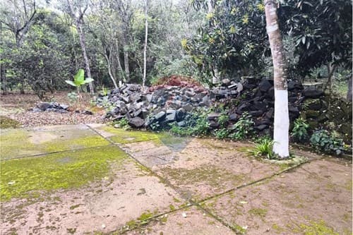 Oportunidad única en cnel oviedo terreno de 7.5 ha — foto 3