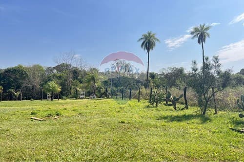 Tres Terrenos con Arroyo en Ypacaraí — foto 4