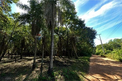 Terreno cerca de San Bernardino - altos, foto 4