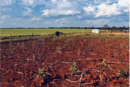 Terreno en Carmen Del Paraná: ¡Inversión Única!, foto 3