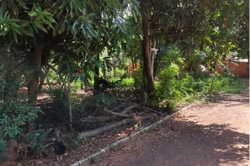 Gran oportunidad en Areguá — foto 4