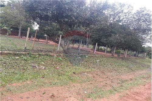 Oferta de extensa propiedad en itá. Sup 2.280 m2, foto 3