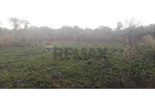 Terreno en Venta Urbanización El Cortijo — foto 4