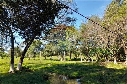 En venta amplia propiedad de 8 has con arroyo — foto 5