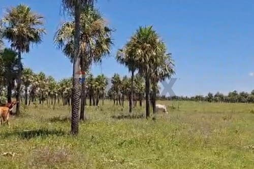 Land for sale in chaco’i – villa hayes — foto 3