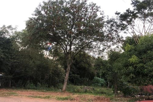 Terreno - Venta - San Lorenzo - Virgen del Rosario — foto 2