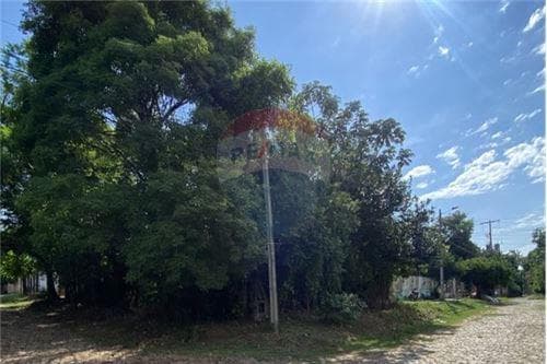 de Terreno en Esquina Mariano R Alonso — foto 5