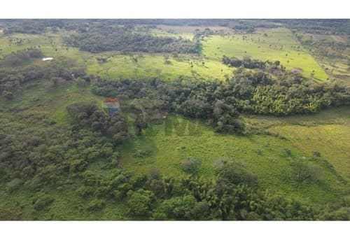 ✨ Estancia Ramonita de 368 hás. en Ybycuí ✨ — foto 2
