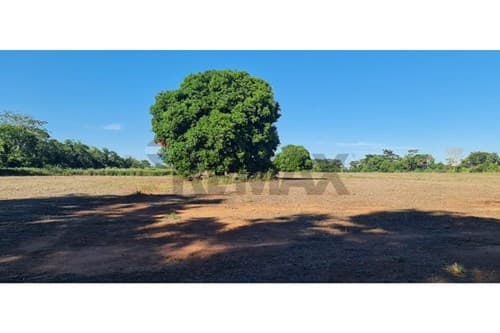 Terreno 14ha en Itacurubí: ¡Oportunidad Única! — foto 5