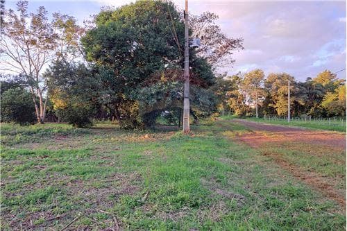 Amplio terreno en venta — foto 3