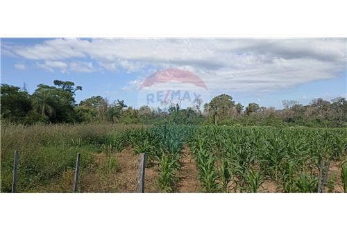 vendoTerreno de 70 hectáreas -MBUYAPEY-PARAGUARI — foto 3