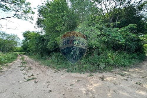 En venta amplio terreno en surubi-i, foto 4