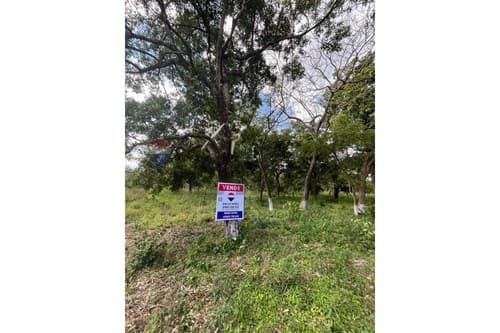 Terreno - venta - caacupe -cordillera -paraguay, foto 5