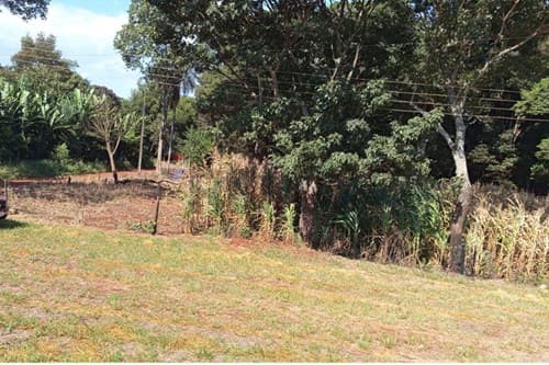 Terreno Estratégico en Hernandarias, foto 4