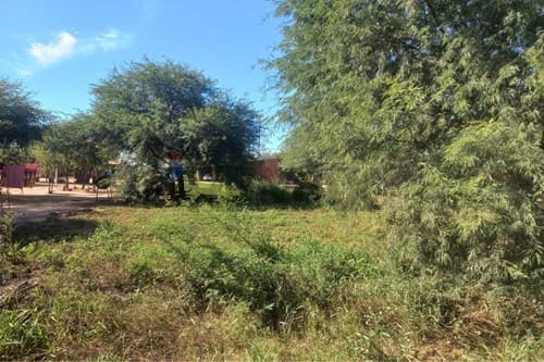 Terreno Comercial en Filadelfia — foto 4