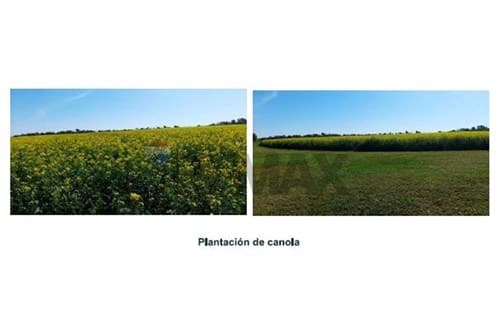 18 hectáreas a 700 metros del Río Paraná
