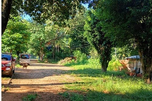 Terreno en Luque - isla bogado — foto 2