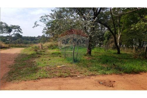 Amplio terreno a cuadras del puente remanso — foto 2
