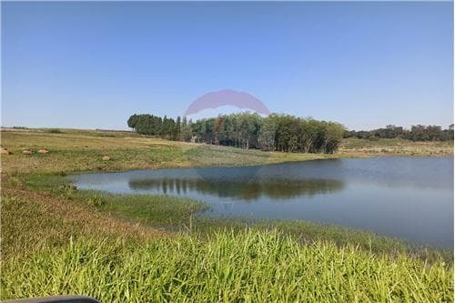 Propiedad agricola de 47 has. En Hohenau! — foto 4