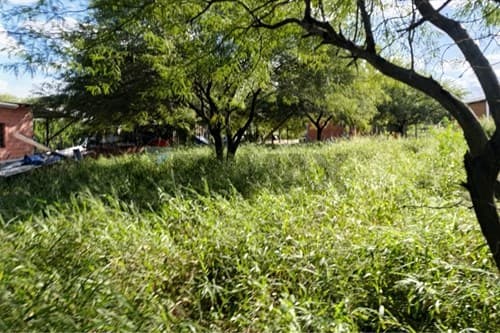 Terreno arenoso en Filadelfia, foto 4