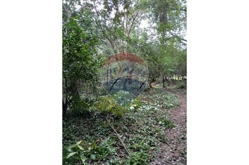 venta de terreno en Ita, tape tuja