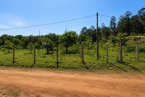 Dos Terrenos Juntos en Venta, foto 5