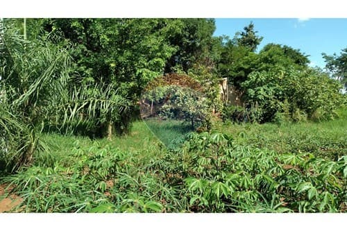 Terreno en km 10 acaray, foto 3