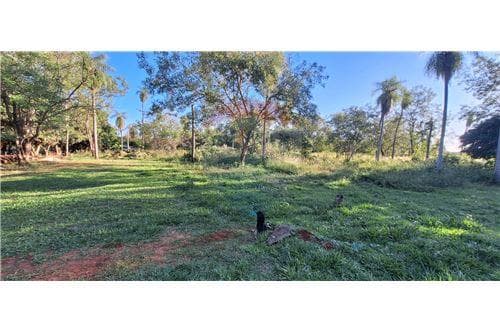 En venta dos hectarea Luque centro