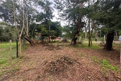 Terreno Ideal en San Bernardino: ¡Inversión Única!, foto 4