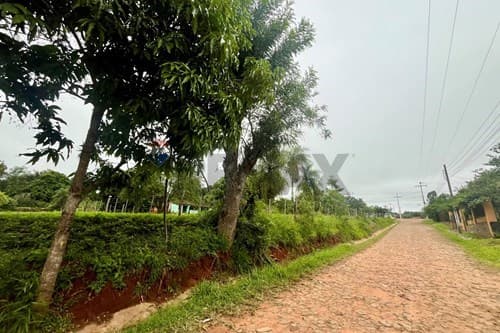 terreno sobre ruta en Piribebuy — foto 4