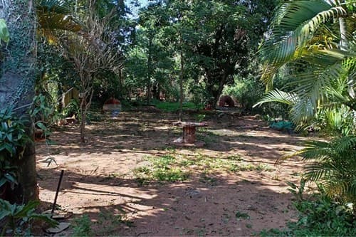 ¡Casa en Luque; amplio terreno!, foto 4